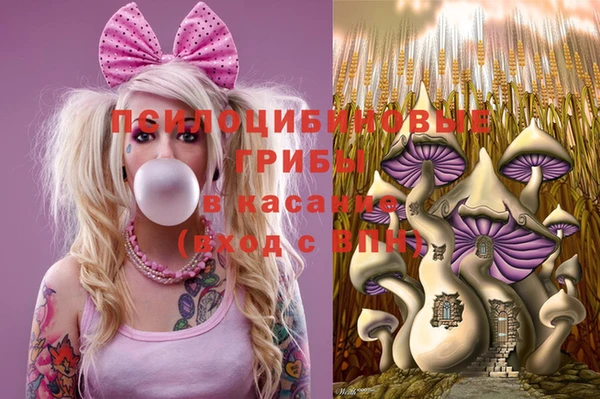 ешки Кинешма